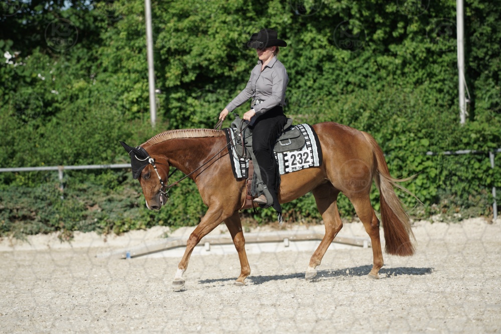 s_APF06962.jpg